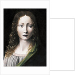 El Salvador Adolescente (The Adolescent Saviour), 1490-1495 by Giovanni Antonio Boltraffio