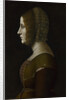 Portrait of a Woman in Profile, c. 1495 by Giovanni Ambrogio De Predis