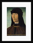 Portrait of Alessandro de Richao, after 1491 by Filippo Mazzola