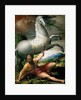 The Conversion of Saint Paul, ca 1528 by Parmigianino