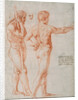 Two Nude Studies by Raphael