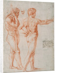 Two Nude Studies by Raphael