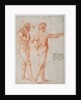 Two Nude Studies by Raphael
