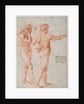 Two Nude Studies by Raphael