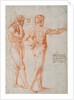 Two Nude Studies by Raphael
