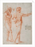 Two Nude Studies by Raphael