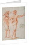 Two Nude Studies by Raphael