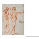 Two Nude Studies by Raphael