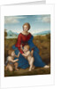 Madonna in the Meadow, ca 1506 by Raphael