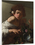 Boy bitten by a Lizard, ca 1595 by Michelangelo Caravaggio