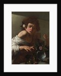 Boy bitten by a Lizard, ca 1595 by Michelangelo Caravaggio