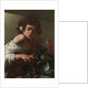 Boy bitten by a Lizard, ca 1595 by Michelangelo Caravaggio