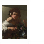 Boy bitten by a Lizard, ca 1595 by Michelangelo Caravaggio