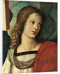 Head of an Angel, c. 1500 by Raphael