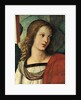 Head of an Angel, c. 1500 by Raphael