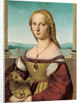 Portrait of a Young Lady with a Unicorn, 1505-1506 by Raphael