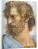 Aristotle. Stanza della Segnatura. The School of Athens (Detail) by Raphael