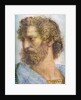 Aristotle. Stanza della Segnatura. The School of Athens (Detail) by Raphael