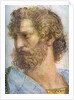 Aristotle. Stanza della Segnatura. The School of Athens (Detail) by Raphael