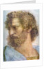 Aristotle. Stanza della Segnatura. The School of Athens (Detail) by Raphael