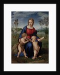 Madonna of the Goldfinch (Madonna del Cardellino), 1505-1506 by Raphael