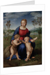 Madonna of the Goldfinch (Madonna del Cardellino), 1505-1506 by Raphael