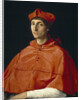 Portrait of a Cardinal, c. 1510 by Raphael