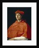Portrait of a Cardinal, c. 1510 by Raphael