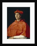 Portrait of a Cardinal, c. 1510 by Raphael