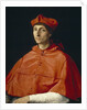 Portrait of a Cardinal, c. 1510 by Raphael