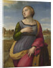 Saint Catherine of Alexandria, ca 1507 by Raphael