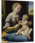 The Madonna of the Pinks (La Madonna dei Garofani), ca 1506-1507 by Raphael