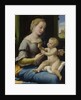 The Madonna of the Pinks (La Madonna dei Garofani), ca 1506-1507 by Raphael