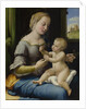 The Madonna of the Pinks (La Madonna dei Garofani), ca 1506-1507 by Raphael