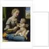 The Madonna of the Pinks (La Madonna dei Garofani), ca 1506-1507 by Raphael