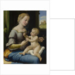The Madonna of the Pinks (La Madonna dei Garofani), ca 1506-1507 by Raphael