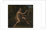 Saint John the Baptist, 1519 by Raphael