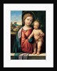 Madonna with the Child, 1512 by Benvenuto Tisi da Garofalo