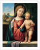 Madonna with the Child, 1512 by Benvenuto Tisi da Garofalo