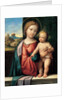 Madonna with the Child, 1512 by Benvenuto Tisi da Garofalo