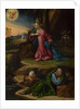 The Agony in the Garden, Between 1520 and 1539 by Benvenuto Tisi da Garofalo