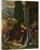 The Nativity, c. 1505 by Ludovico Mazzolino