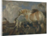 The Creation, Mid of 17th cen by Giovanni Benedetto Castiglione