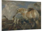 The Creation, Mid of 17th cen by Giovanni Benedetto Castiglione