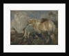 The Creation, Mid of 17th cen by Giovanni Benedetto Castiglione
