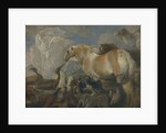 The Creation, Mid of 17th cen by Giovanni Benedetto Castiglione