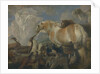 The Creation, Mid of 17th cen by Giovanni Benedetto Castiglione