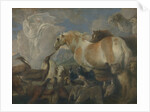 The Creation, Mid of 17th cen by Giovanni Benedetto Castiglione