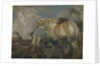The Creation, Mid of 17th cen by Giovanni Benedetto Castiglione
