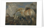 The Creation, Mid of 17th cen by Giovanni Benedetto Castiglione